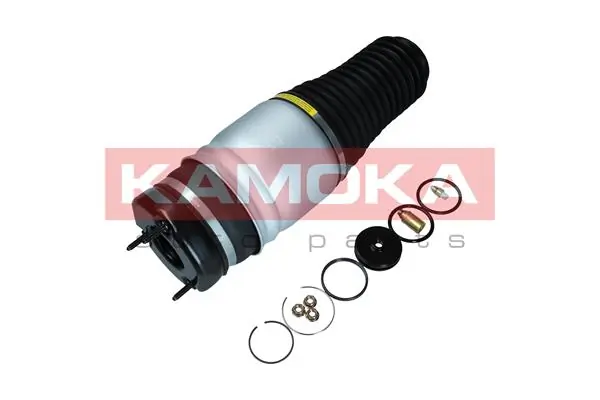 Air Spring, suspension