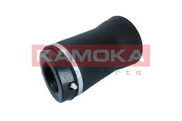 Air Spring, suspension