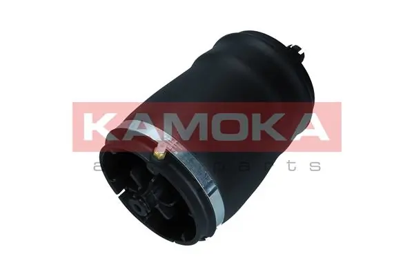 Air Spring, suspension