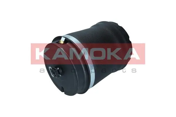 Air Spring, suspension