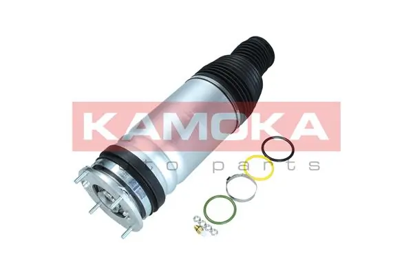 Air Spring, suspension