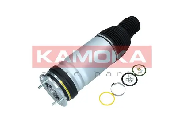 Air Spring, suspension