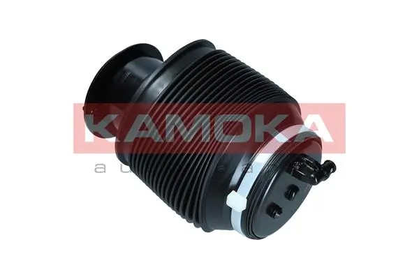 Air Spring, suspension