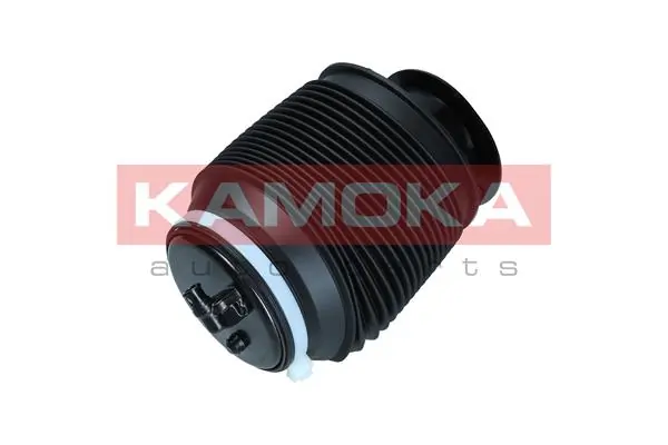 Air Spring, suspension