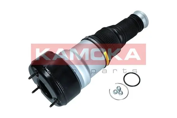 Air Spring, suspension