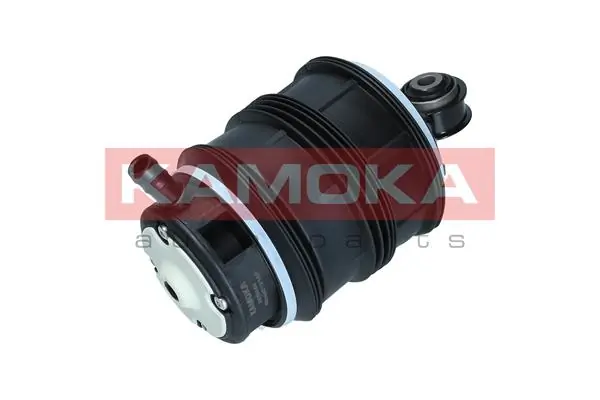 Air Spring, suspension