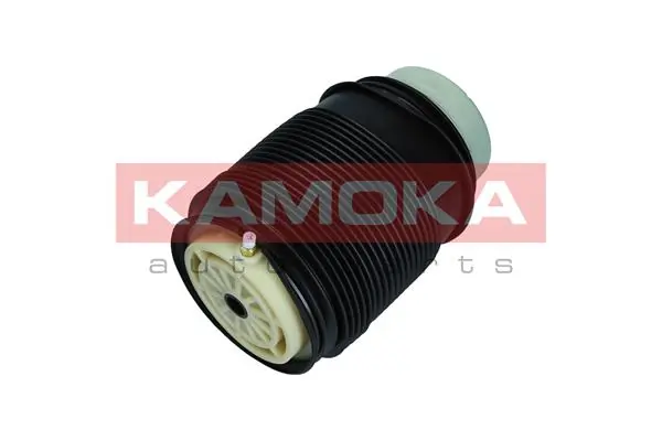 Air Spring, suspension