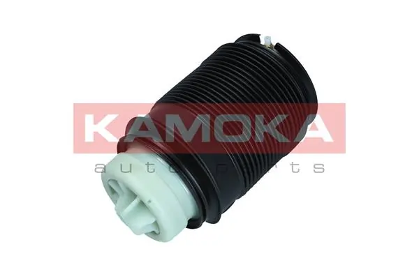 Air Spring, suspension