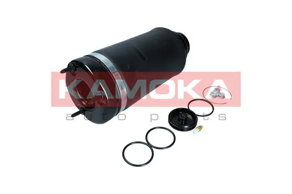 Air Spring, suspension