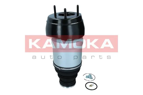 Air Spring, suspension