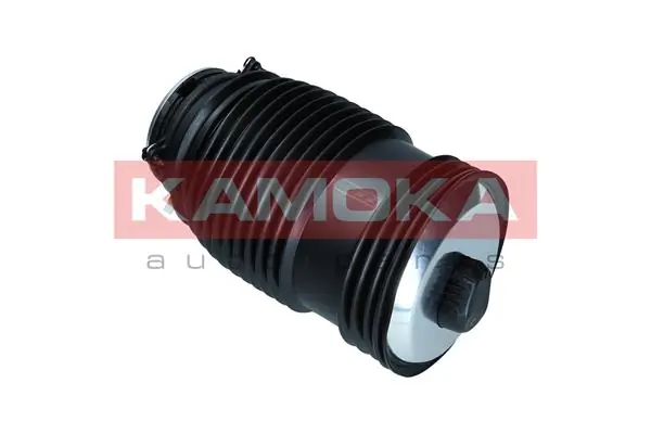 Air Spring, suspension