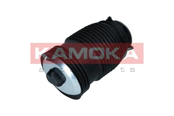 Air Spring, suspension