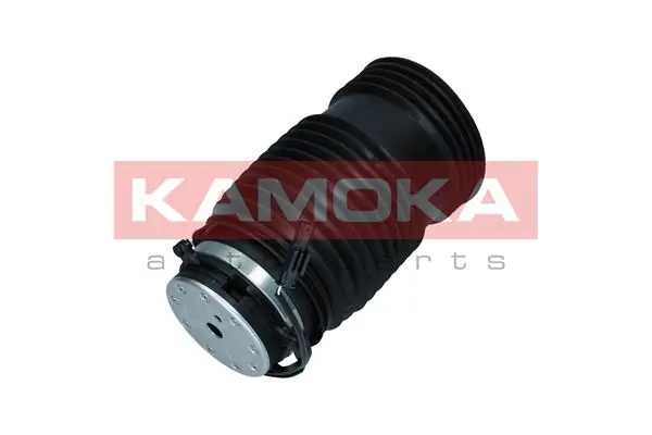 Air Spring, suspension