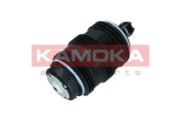 Air Spring, suspension