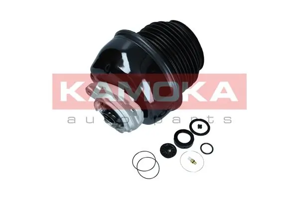 Air Spring, suspension