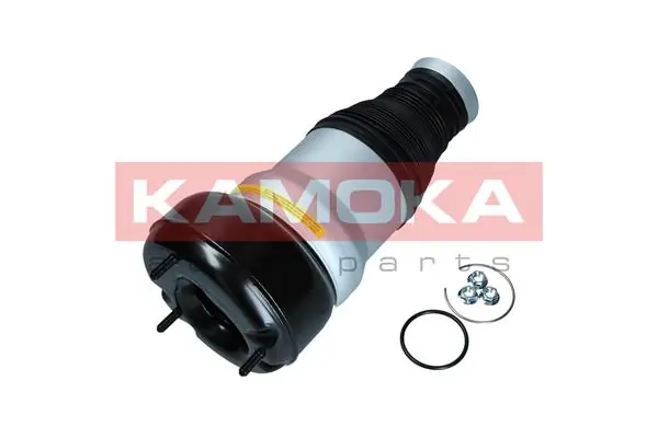 Air Spring, suspension