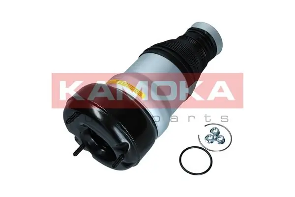 Air Spring, suspension