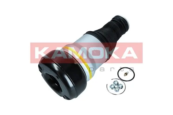 Air Spring, suspension