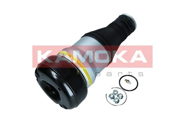 Air Spring, suspension
