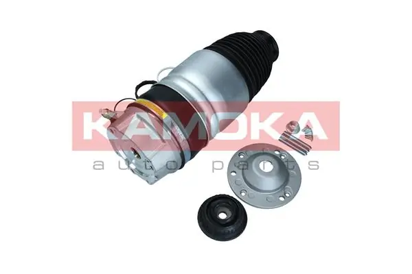 Air Spring, suspension