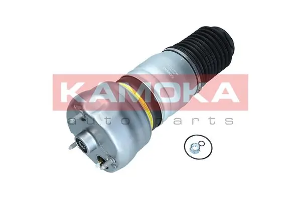 Air Spring, suspension
