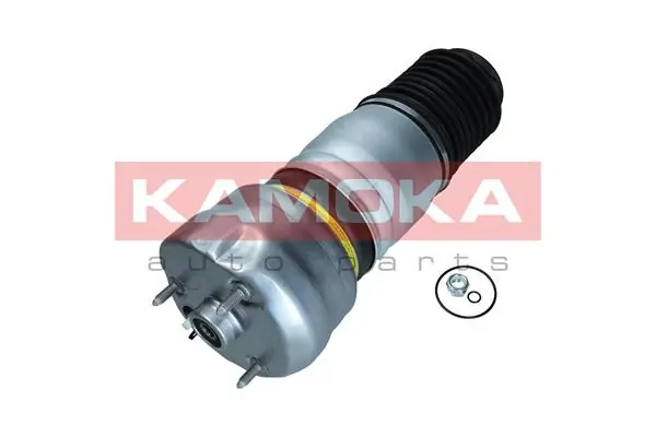 Air Spring, suspension