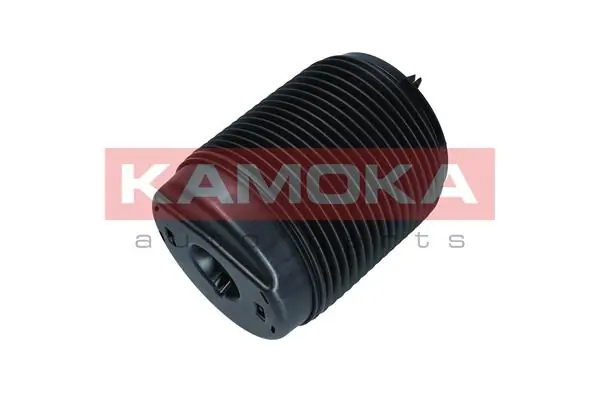Air Spring, suspension