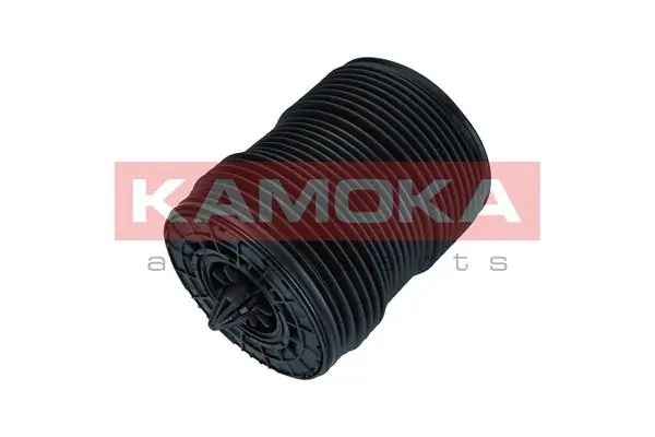 Air Spring, suspension