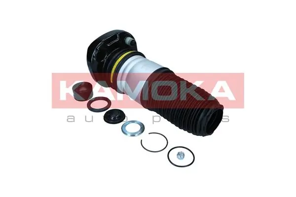Air Spring, suspension