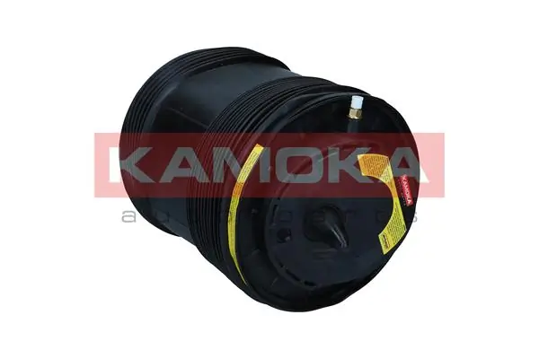 Air Spring, suspension