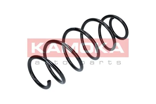 Suspension Spring