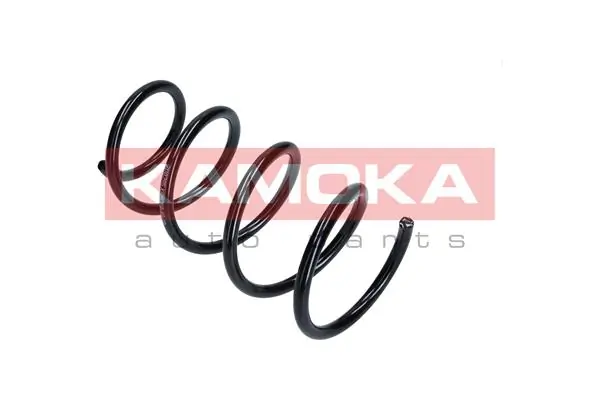 Suspension Spring