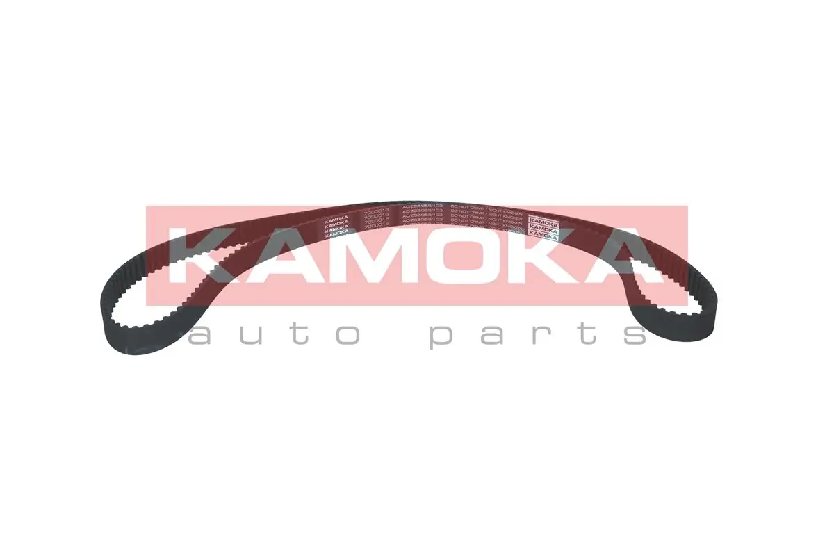 Timing Belt