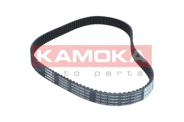 Timing Belt