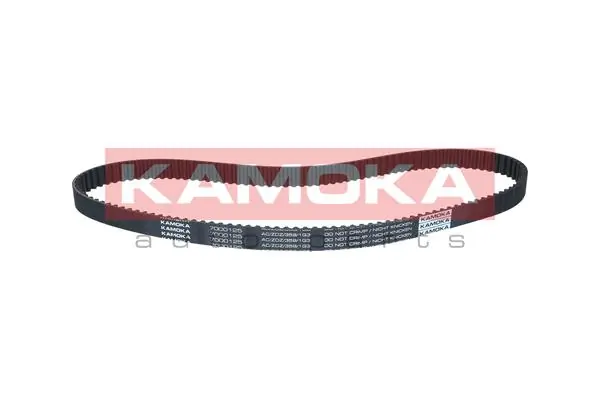 Timing Belt