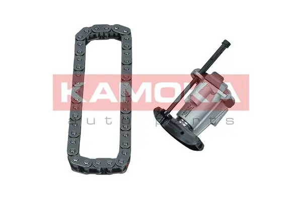 Timing Chain Kit