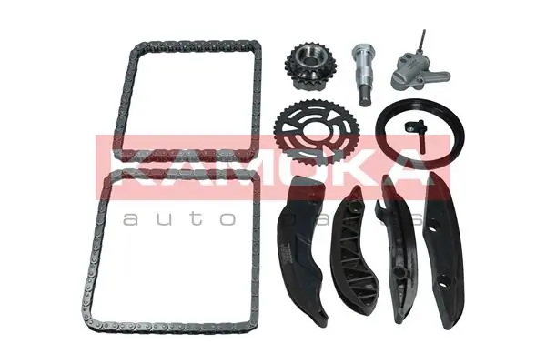 Timing Chain Kit