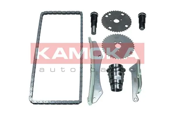 Timing Chain Kit