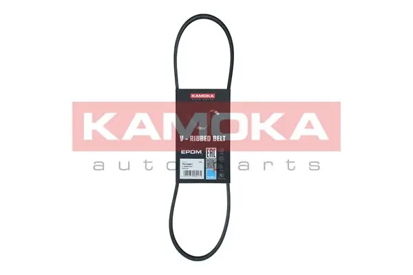V-ribbed Belt