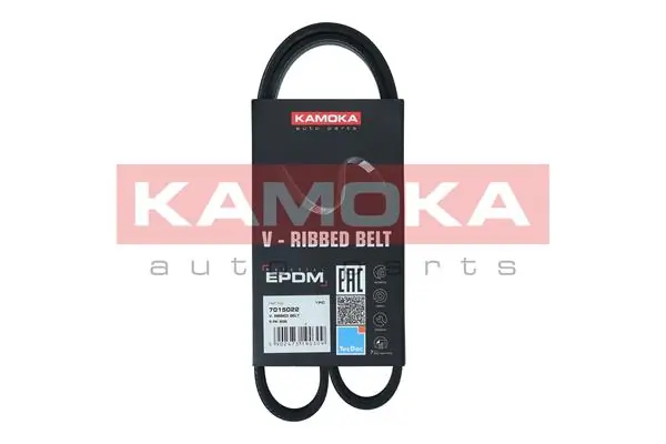 V-ribbed Belt