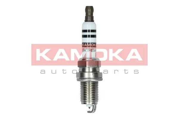 Spark Plug