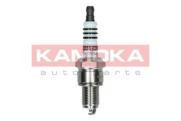 Spark Plug
