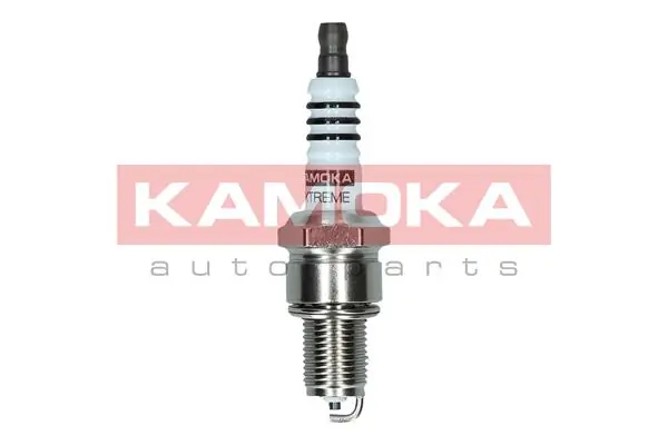 Spark Plug