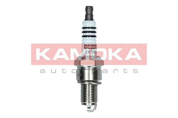 Spark Plug