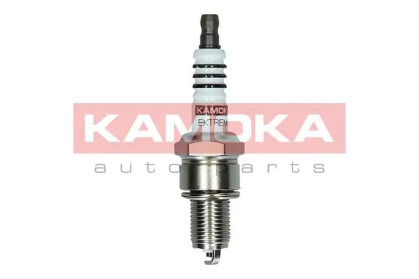 Spark Plug