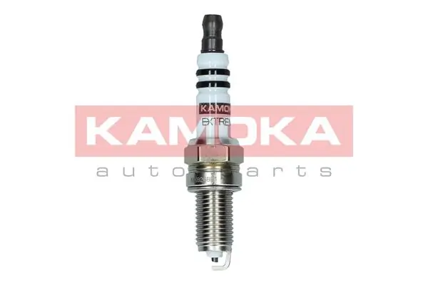Spark Plug