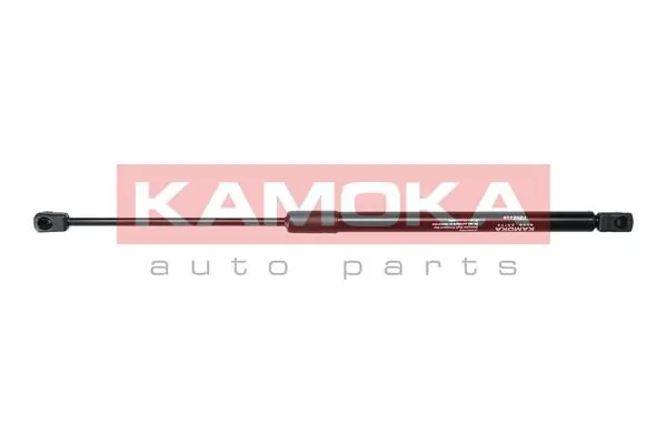 Gas Spring, boot/cargo area