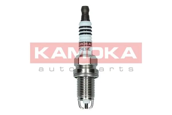 Spark Plug