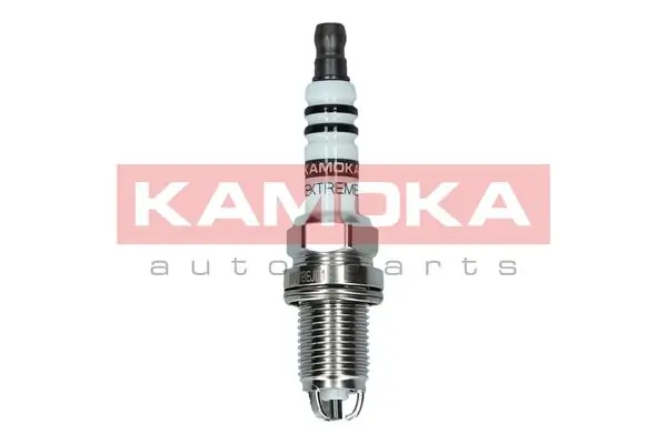 Spark Plug