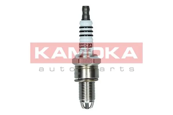 Spark Plug